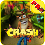 Crash Bandicoot The Huge Adventure ícone