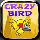 Crazy Bird icône