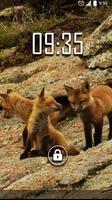 Playful little fox Live WP پوسٹر