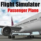 Flight Sim Passenger Plane icône