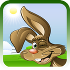 Crazy Rabbit Run And Jump icône