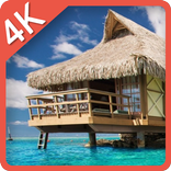 Malaysia Island Survival LWP