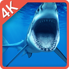Shark Predator Attack LWP icône