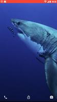 Shark Predator Attack LWP Affiche