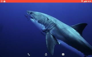 Shark Predator Attack LWP capture d'écran 3