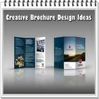 Creative Brochure Design Ideas ícone