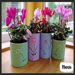 idéias criativas de panela de flores