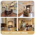 Cream Cabinets Ideas