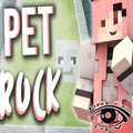 Petrock Mod for Minecraft