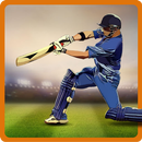 CricAstics 3D Multiplayer Cric APK