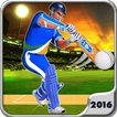 Play Cricket Worldcup 2016