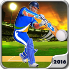 Play Cricket Worldcup 2016 ícone