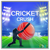 Cricket Crush APK