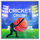Cricket Crush 아이콘