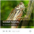 Cricket Sounds APK