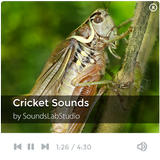 Cricket Sounds icône