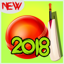 Cricket dunk genuine dunk criket 2018 APK