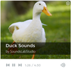 Duck Sounds APK