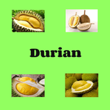 Durian 아이콘