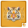 3D Animals for Kids