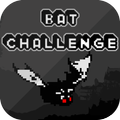”Bat Challenge