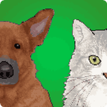 Pet Run: Cats & Dogs