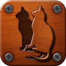 Shape Match APK