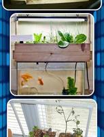 Sistema DIY Aquaponic captura de pantalla 2