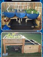 Sistema DIY Aquaponic captura de pantalla 3