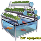 DIY Aquaponics 아이콘