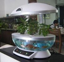 DIY Aquaponics 스크린샷 3