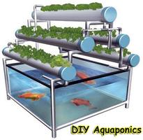 DIY Aquaponics 포스터