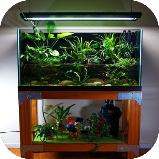 DIY Aquarium Design