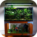 DIY Thiết kế Aquarium APK