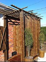 DIY Bamboo Projects পোস্টার