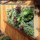 DIY Gardening Planting Ideas APK