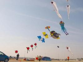 DIY Kite imagem de tela 1