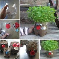 DIY Plastic Bottle Tutorials Cartaz