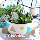 Bricoleur jardinière succulente APK