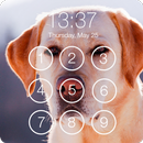 Cute Labrador Wallpaper Password AppLock Security-APK