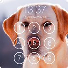 Cute Labrador Wallpaper Password AppLock Security icône