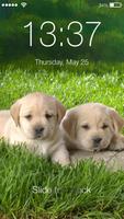 Cute Labrador Wallpaper Password AppLock Security ảnh chụp màn hình 3