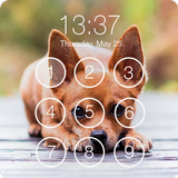Chihuahua Puppy Dog Wallpaper PIN Lock Screen ikon