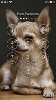 Chihuahua Puppy Dog Wallpaper PIN Lock Screen Cartaz