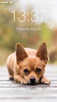 Chihuahua Puppy Dog Wallpaper PIN Lock Screen اسکرین شاٹ 2