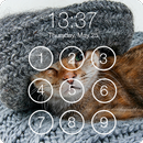 Cute Kitty Cat Pattern Lock Screen PIN Wallpapers APK