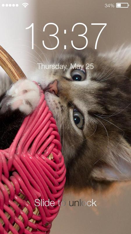 Kitten Cute Cat Wallpaper Lock Screen Iphone Style For Android Apk