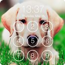 APK Labrador Favorite Dog Pet Wallpaper HD Lock Screen