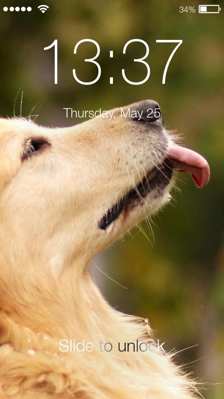 Labrador Favorite Dog Pet Wallpaper HD Lock Screen APK voor Android Download Labrador Favorite Dog Pet Wallpaper HD Lock Screen APK voor Android Download
