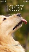 Labrador Favorite Dog Pet Wallpaper HD Lock Screen Affiche